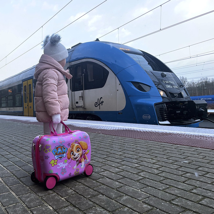 Lasten päälläistuttava matkalaukku Paw Patrol Skye & Everest
